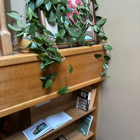 Mieszkanie W Centrum Ilawy *